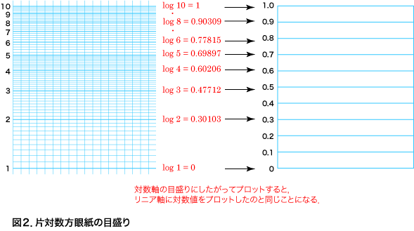 東北大学 自然科学総合実験 片対数方眼紙の使い方